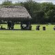 ¡Futbol le cobra la vida! Hombre se infarta en campo del fraccionamiento Carrizal