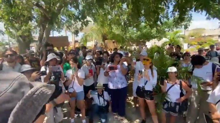 Activistas denuncian destrucción de manglares por obras ligadas al Tren Maya