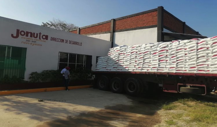 Llegan primeros sacos de fertilizantes a Tabasco para más de 23 mil productores, informa Segalmex