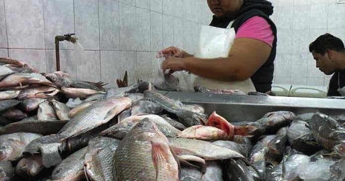 Suspende Cofepris Tabasco 3 establecimientos de pescados y mariscos
