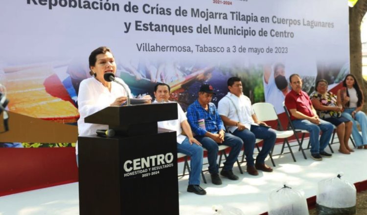 Liberan 200 mil alevines de tilapia en laguna La Encantada, en Centro