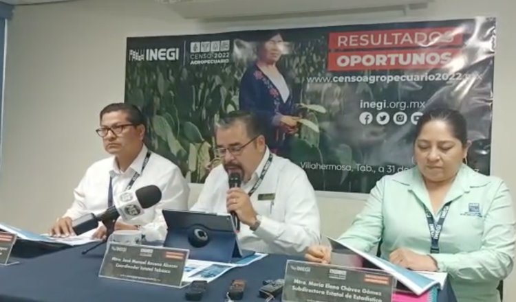 Cuenta Tabasco con 2 millones de hectáreas de uso o vocación agropecuaria: Inegi