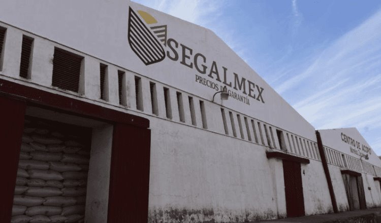 Reportan detención de exdirector comercial de Segalmex en Argentina