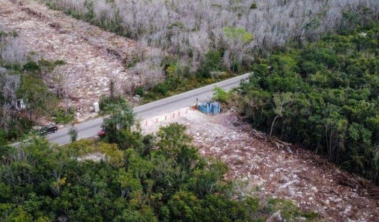 Grupo México abandona oficialmente el Tren Maya