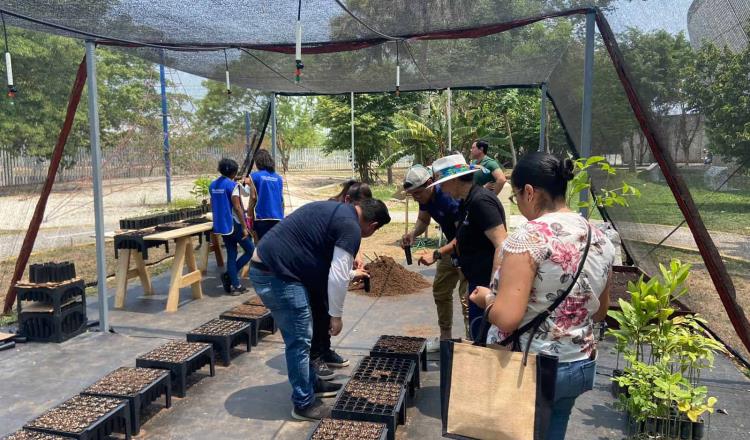 Inauguran ´Vivarium´ al interior del Papagayo; albergará hasta mil plantas