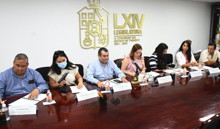 Presenta PRI exhorto para que se informe de los recursos y el sitio de reubicación del reloj floral