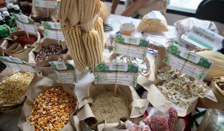 Tianguis Agroecológico se realiza en Plaza de Armas con más de 40 productores y emprendedores