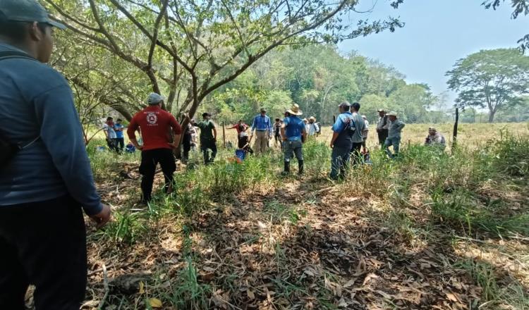 Incendio arrasa 30 hectáreas del Cerro Poaná, incluyendo las reforestadas por Sembrando Vida: PC