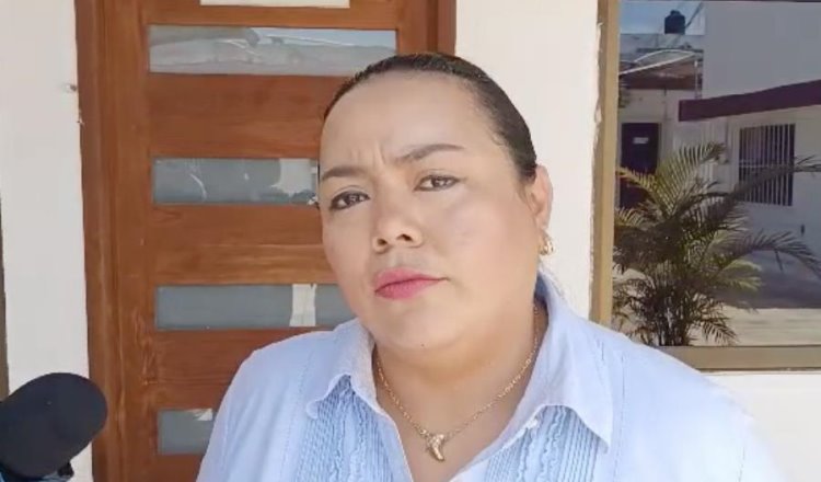 "En el PRI creemos en las instituciones: Maritza Jiménez sobre caso Jorge Priego