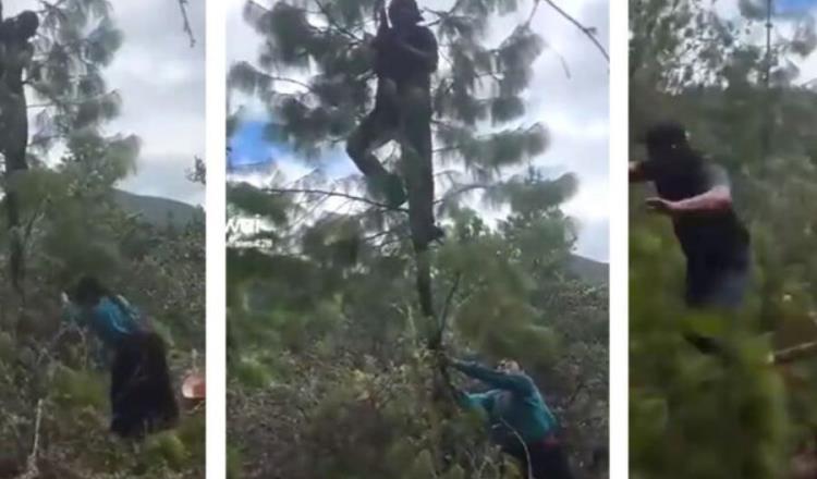 Mujer tala árbol para bajar a su esposo que intentaba huir