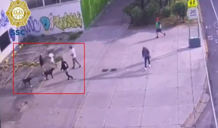 Balean y matan a perrito por defender a dueño de asalto en CDMX