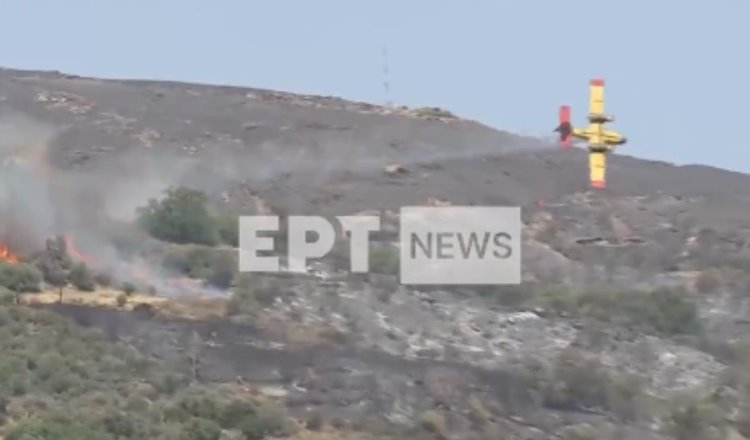 Se estrella avión cisterna que combatía incendio en Grecia