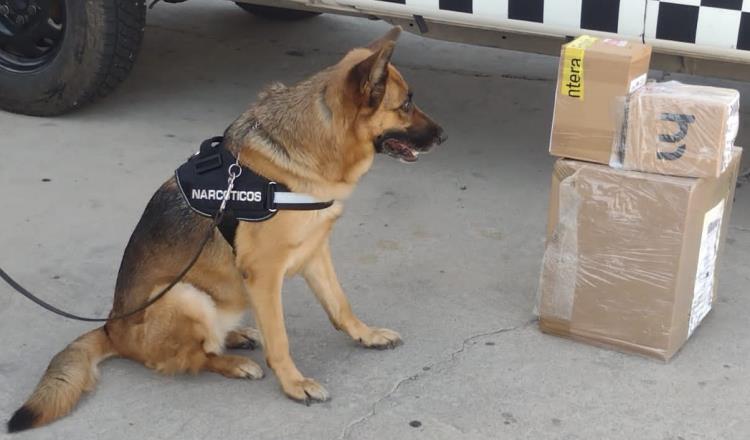 Intercepta Guardia Nacional envío de aparente cristal en Hermosillo, Sonora