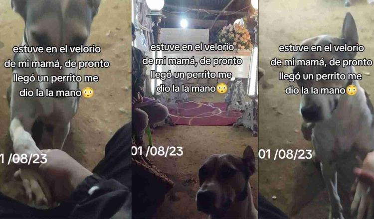 Lo ayudó a superar su pérdida, perrito consuela a hombre en el funeral de su mamá