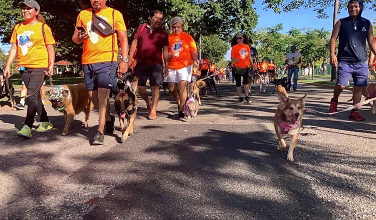 ¡Cumplen meta! Con gran participación perruna realizan cuarta ´Caninata´ contra maltrato animal