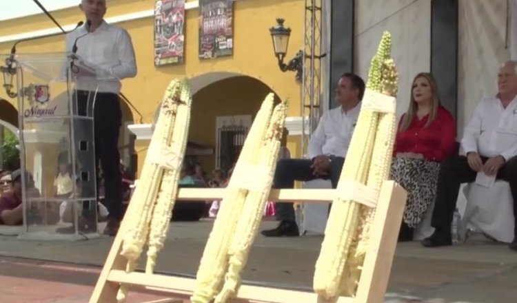 Premian en Nayarit a productores de elotes más grandes del mundo