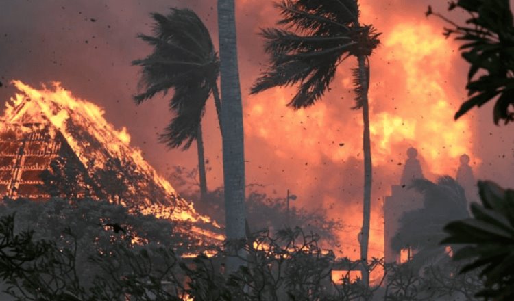 "Era una pesadilla": mexicana que vivió incendio en Hawái