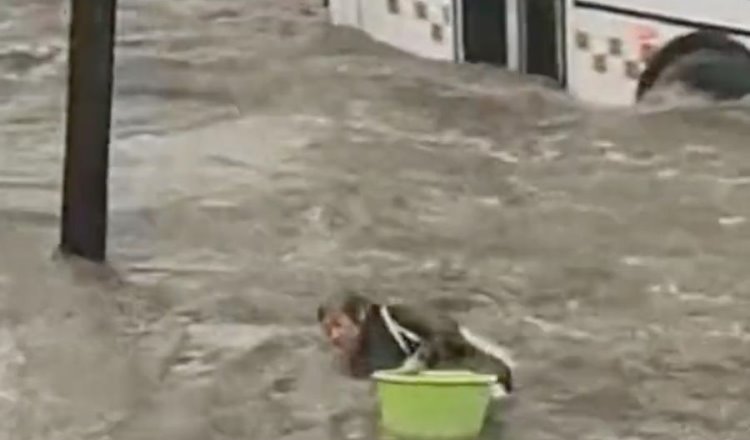 ¡Casi se ahoga! Inundación por lluvias en CDMX arrastra a adulta mayor