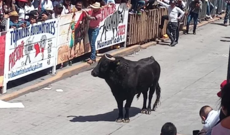 Suman 20 heridos por toros en Huamantlada, en Tlaxcala