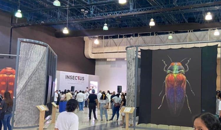 ´Insectus´ en el Convenciones, colección estará hasta el 24 de septiembre