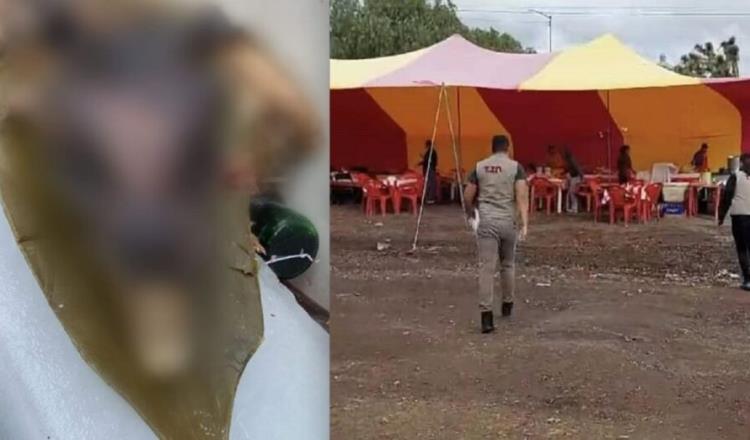 Denuncian venta de barbacoa de perro en Tizayuca, Hidalgo