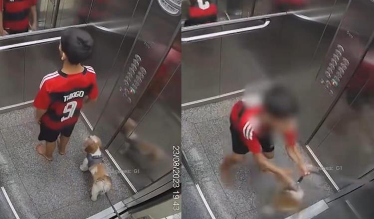 Niño de 11 años se convierte en héroe al salvar a su perro atrapado en un elevador en Brasil