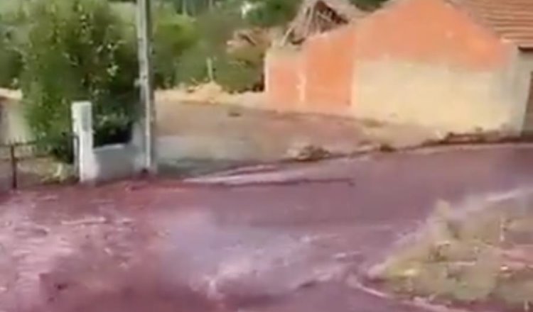 Vino tinto inunda calles de Levira, Portugal tras rotura de tanques