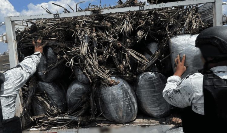 Cae sujeto con casi media tonelada de marihuana en Jalisco