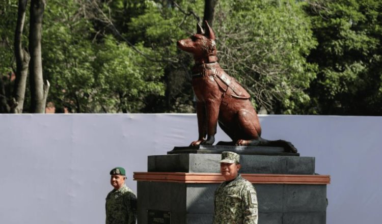 Develan estatua de Proteo, perro rescatista de Sedena fallecido en Turquía