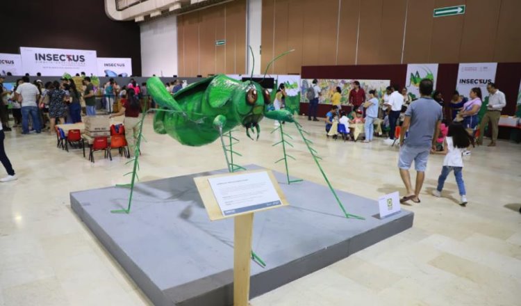 Concluye exposición ´Insectus´ con asistencia de más de 43 mil personas a lo largo de todo un mes