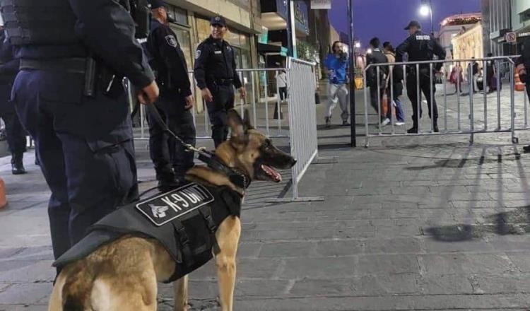 Muere agente canina tras ser olvidada dentro de patrulla en Aguascalientes