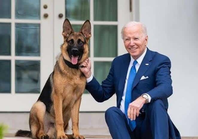 Expulsan de la Casa Blanca a ´Commander´, la mascota del presidente Biden