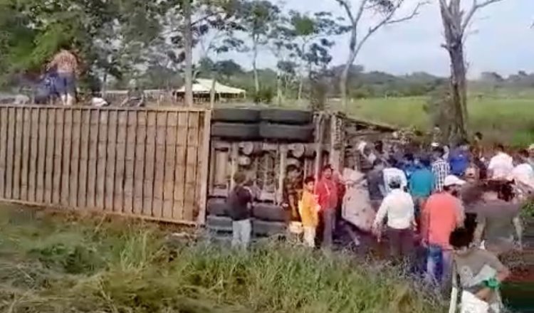 Rapiñan tráiler volcado con ganado en la Villahermosa – Escárcega