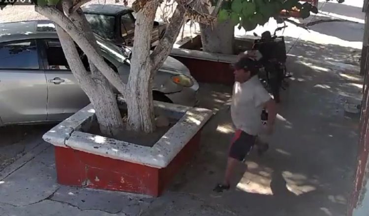 Sujeto en Baja California Sur lanza piedras a perritos y ¡se le cae la caguama!