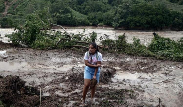 296 mil niñas, niños y adolescentes resultaron afectados por Otis en Guerrero: UNICEF