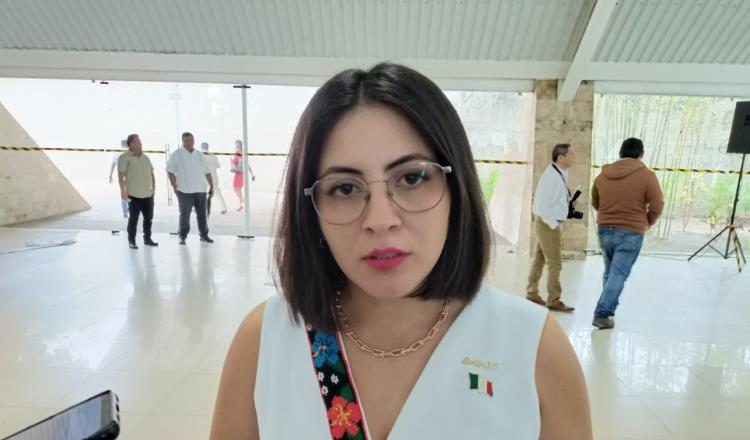 Solo una persona se anota en Tabasco para buscar una diputación federal independiente: INE