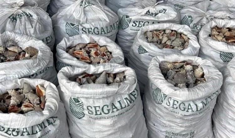 No realizamos exportaciones: Se deslinda Segalmex de droga decomisada en Hong Kong