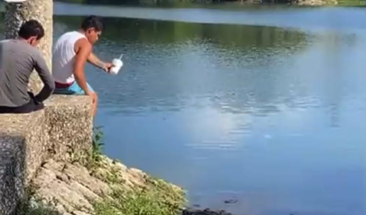 Joven intenta "pescar" cocodrilo en laguna de Las Ilusiones con chancla