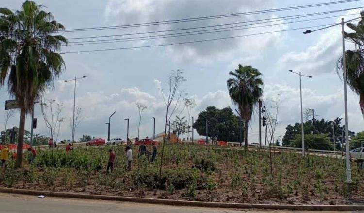 Quitan reloj floral y siembran 5 mil plantas en glorieta de Paseo Tabasco