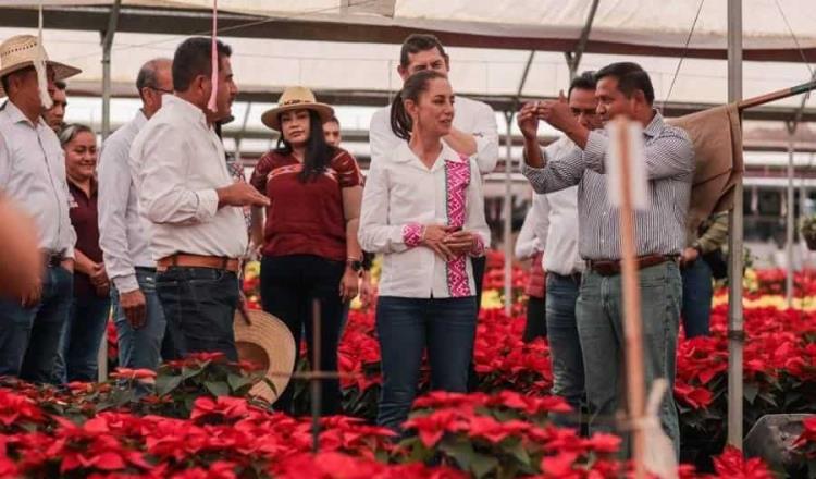 Conservadores piensan que "darle apoyo a los pobres es darle apoyo a los flojos", critica Sheinbaum