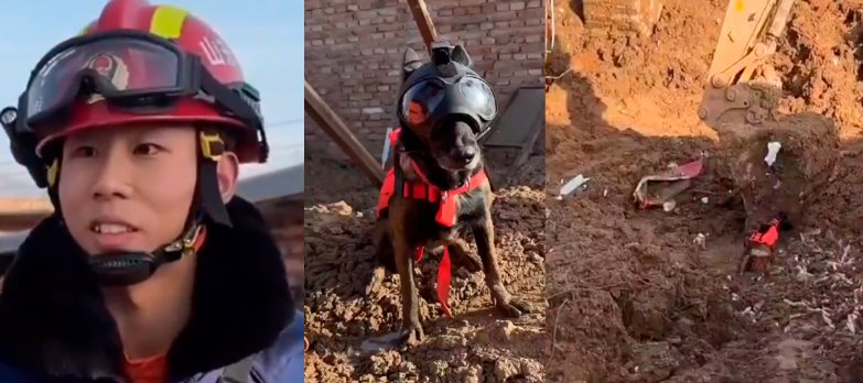 En China usan ciberperros para búsqueda y rescate de sobrevivientes en terremotos