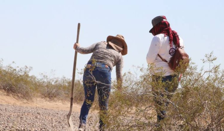 Madres buscadoras promueven amparos para que sus desaparecidos no sean borrados de registro