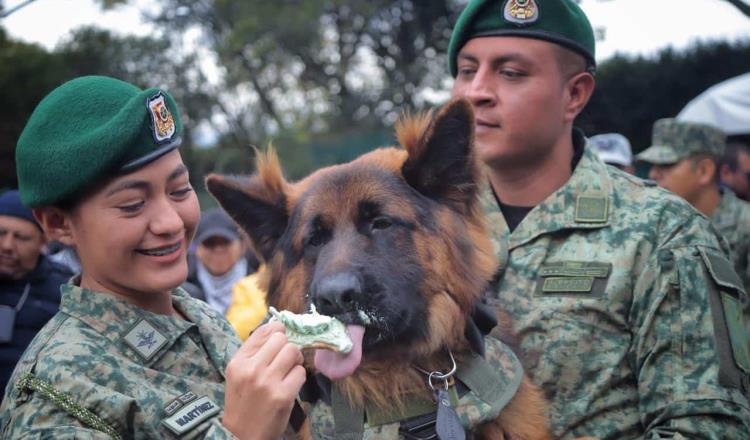 ¡Arkadas está de cumpleaños! Sedena celebra a perrito donado por Turquía