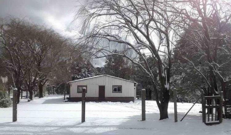 Suspende Sonora clases en 17 municipios por tormenta invernal y frente frío 25