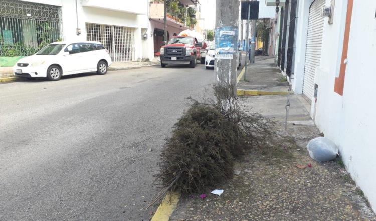 Inicia 15° edición del reciclatón de pinos naturales en Tabasco