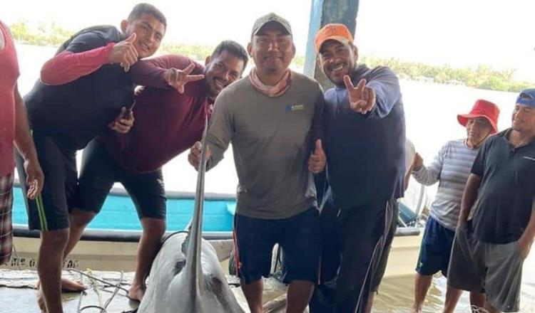 Pescadores capturan tiburón martillo en "El Bellote" Paraíso