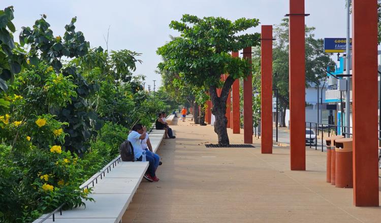 No darán permisos para ´giros negros´ en cercanías al malecón: Centro