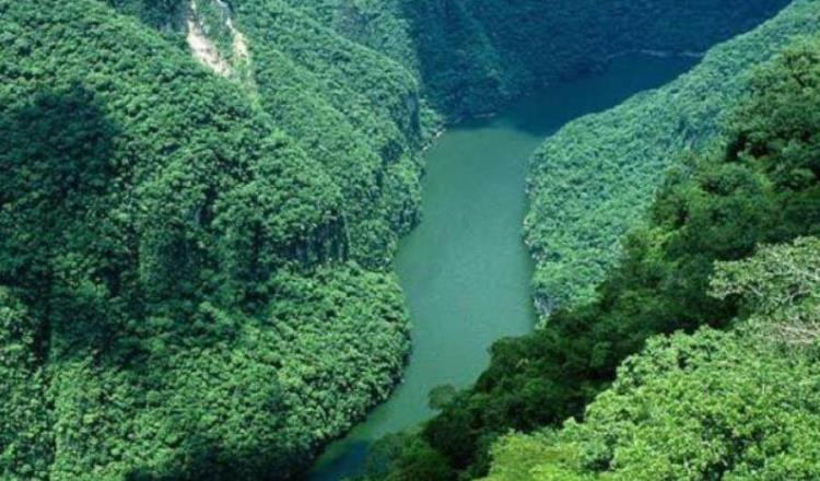 Empresas turísticas suspenden visitas a Selva Lacandona ante violencia por cárteles