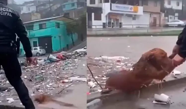 Policía municipal de Tijuana salva a perrito atrapado en canal de aguas negras