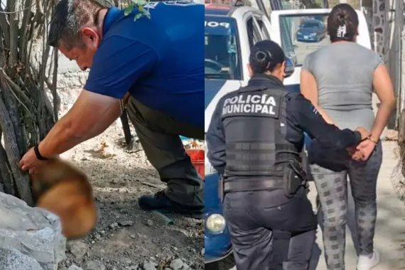 Multan en Querétaro a mujer por dejar a su perro en condiciones que lo llevaron a la muerte